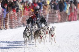 Lenk 2013